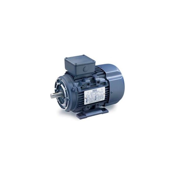 Leeson Motors Motor IEC Metric Motor-7.5HP, 230/460V, 1175/975RPM, IP55, B3/B14, 1.15 SF, 89.5 Eff. 193369.6 - main